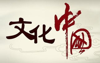 中國文化傳媒網(wǎng) 文化傳播的數(shù)字化先鋒